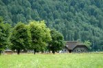 20060801-032
