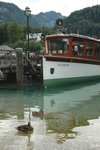 20060801-053