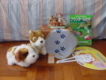 DSC00090