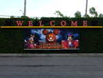 LA Disney5