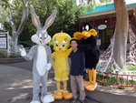 20061031_267