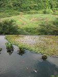 酒店房view2