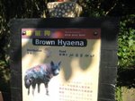 真o既 Hyaena!!!