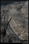 DSC_4084
