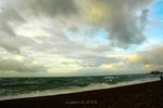 DSC_9873