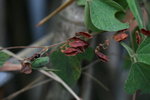 IMG_8756