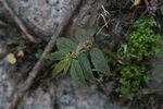 IMG_8786