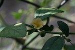 IMG_8797