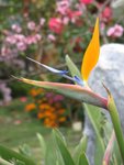 IMG_8584