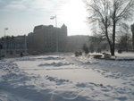 IMG_2901