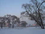 IMG_2917