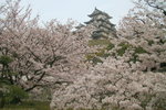 IMG_5976c