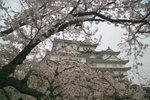 IMG_5985e