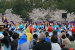 IMG_6081