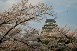 IMG_6296c