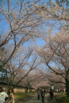 IMG_6376e