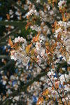 IMG_6385