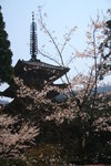 IMG_6390