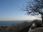 IMG_3097