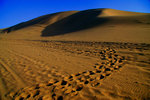 IMG_1558es