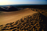 IMG_1589es
