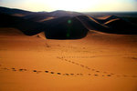 IMG_1599es