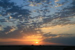 IMG_1710