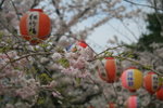 IMG_6579