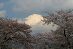 IMG_5620c