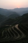 IMG_9625p