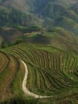 IMG_9736e