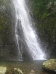 IMG_1245
