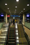 IMG_0519