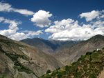 IMG_8252