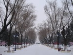 IMG_2781