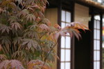 PICT0082