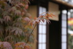 PICT0083