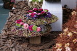 PICT0037