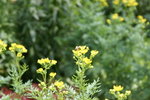 PICT0062