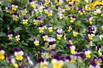 PICT0068