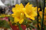 PICT0090