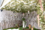 PICT0102