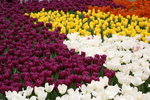 PICT0109