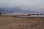 PICT0079