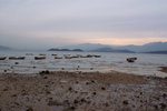 PICT0088