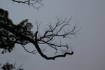 PICT0095