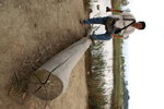 PICT0113