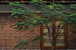 1881 Heritage #014