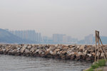 Chai Wan #019
