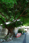 Ping Chau Tour 2009 #014